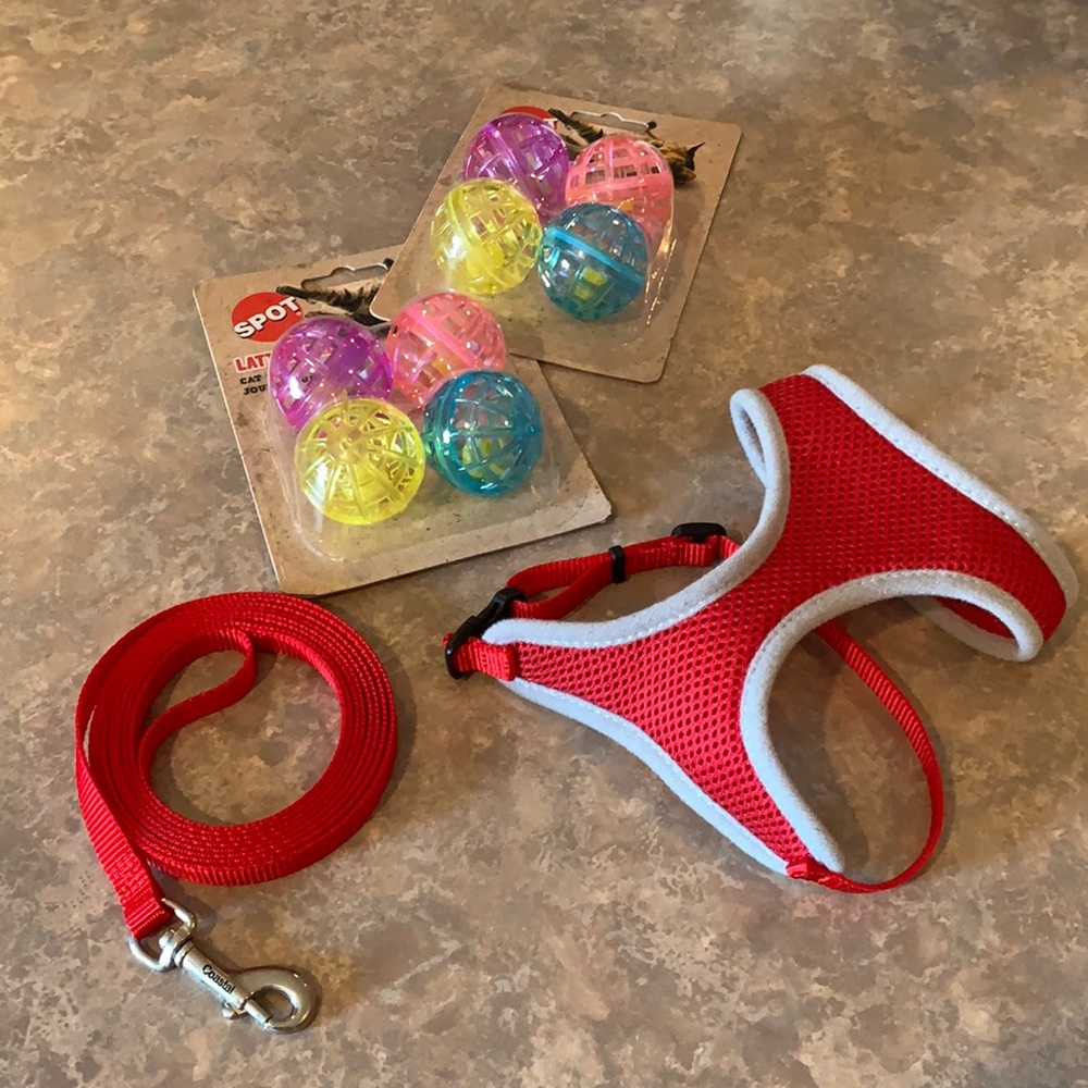 Small Pet Harness and Leash with Toys